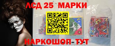 гидропоника Можга