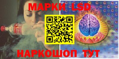 гидропоника Можга