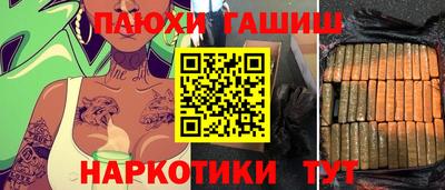 гидропоника Можга
