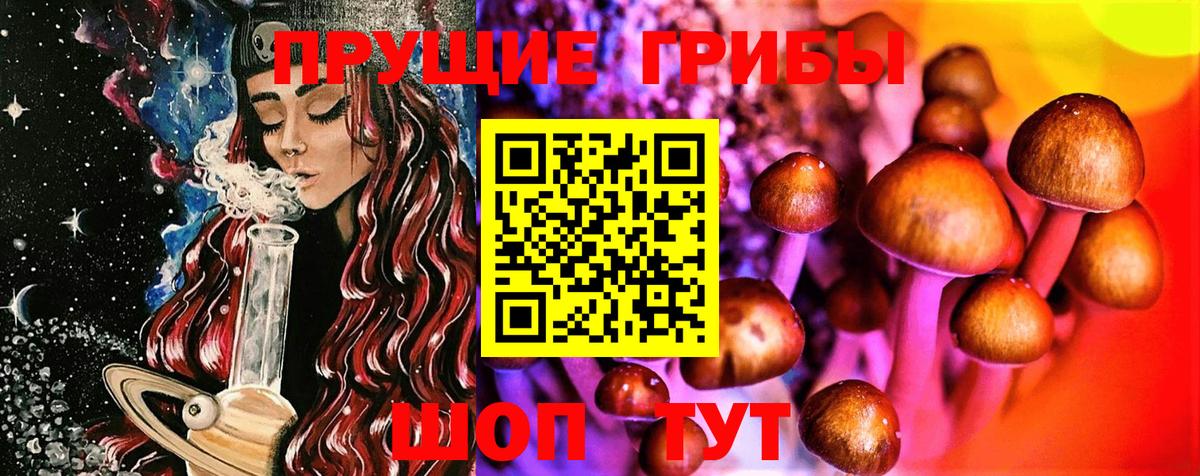 Галлюциногенные грибы Cubensis  Вход с VPN  Екатеринбург 